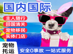 西昌机场空运国际宠物托运 【国